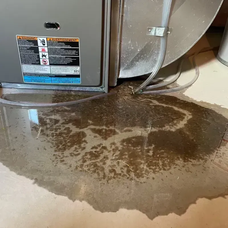 Appliance Leak Cleanup in Palmhurst, TX